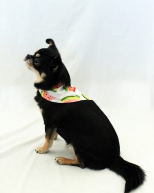 Watermeloen sjaaltje