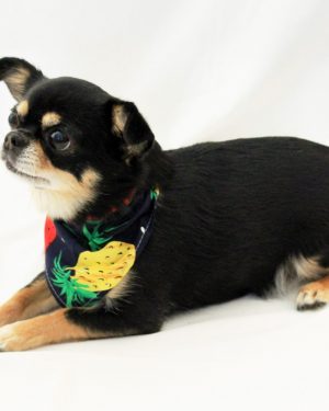 Donkerblauw ananas sjaaltje