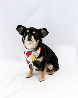 Watermeloen / ananas sjaaltje