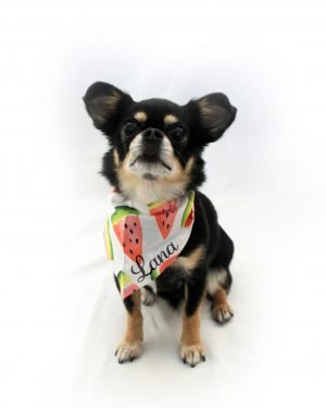 Watermeloen sjaaltje